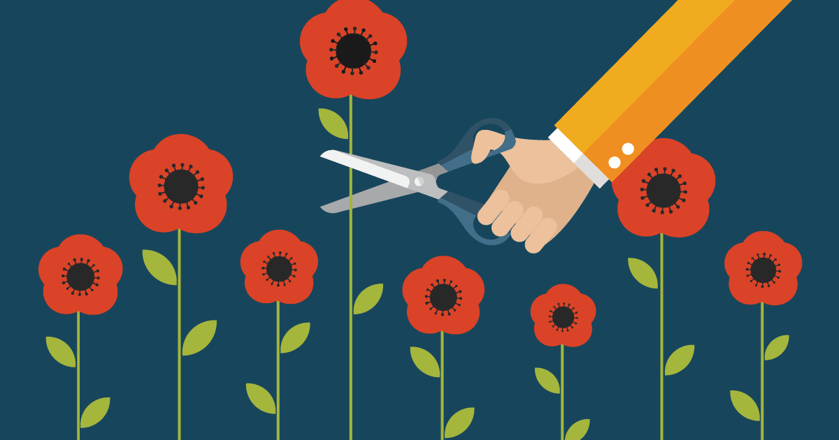 Root Out 'Tall Poppy Syndrome' – It Could Save Your Company - Insperity