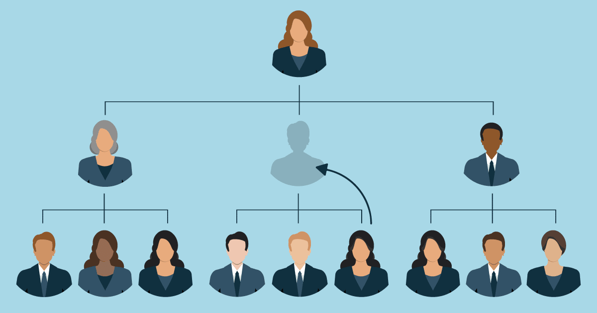 Organizational chart and succession planning